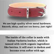 Load image into Gallery viewer, Retro Suede Designer Dog Collar - Retro Red