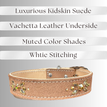 Load image into Gallery viewer, Retro Suede Designer Dog Collar -Brown