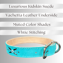 Load image into Gallery viewer, Retro Suede Designer Dog Collar -Turquoise
