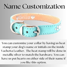 Load image into Gallery viewer, Retro Suede Designer Dog Collar -Turquoise