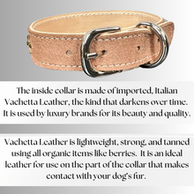 Load image into Gallery viewer, Retro Suede Designer Dog Collar -Brown