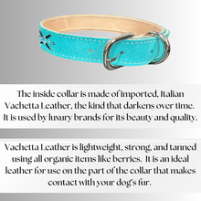 Load image into Gallery viewer, Retro Suede Designer Dog Collar -Turquoise
