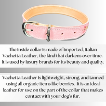 Load image into Gallery viewer, Retro Suede Designer Dog Collar -Light Pink