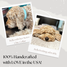 Load image into Gallery viewer, Retro Suede Designer Dog Collar -Turquoise