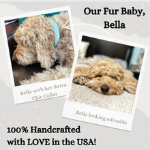 Load image into Gallery viewer, Retro Suede Designer Dog Collar - Bright Pink