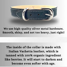 Load image into Gallery viewer, Retro Suede Designer Dog Collar -Faded Black