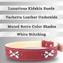 Load image into Gallery viewer, Retro Suede Designer Dog Collar - Retro Red