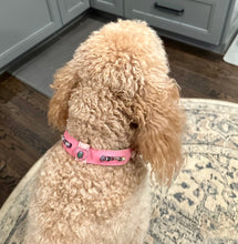 Load image into Gallery viewer, Barbie Pink Crystal Healing Collar