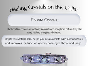 Skin & Allergy Support - Healing Crystal Collar - Tahitian Pearl Color SA101