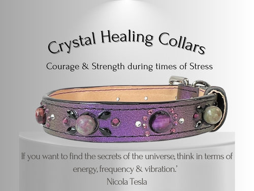 Strength & Vitality Support - Crystal Healing Collar - Candy Apple Purple SV101