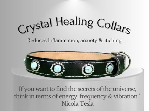 Skin & Allergy Support - Healing Crystal Collar - Black Vachetta W/ Larimar SA102