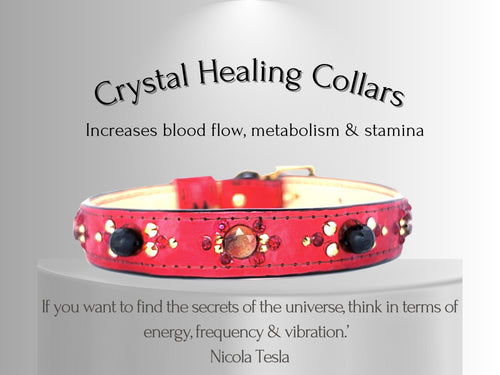 Strength & Vitality Support - Healing Crystal Collars - Red Metallic Leather SV102