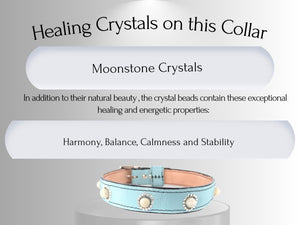 Anxiety & Stress Support - Healing Crystal Collars - Tiffany blue w/ Moonstones AS102