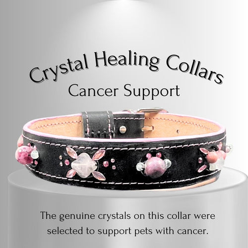 Cancer & Immune Support - Healing Crystal Dog Collar CI103