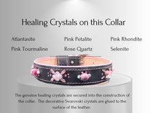 Load image into Gallery viewer, Cancer &amp; Immune Support - Healing Crystal Dog Collar CI103
