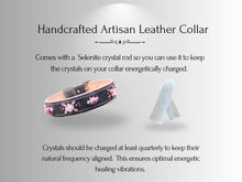 Load image into Gallery viewer, Cancer &amp; Immune Support - Healing Crystal Dog Collar CI103